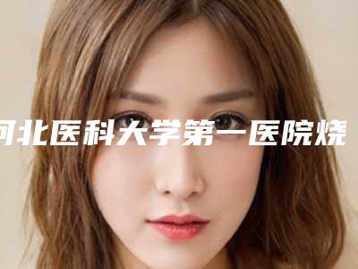 河北医科大学第一医院烧伤整形美容科价格(价目)表2025更新-硅胶隆鼻整容手术案例