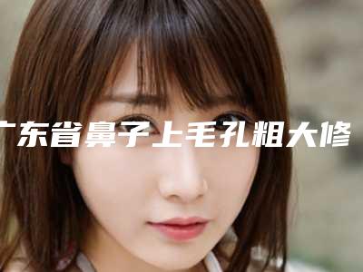 广东省鼻子上毛孔粗大修复医院哪个比较好(东莞名颜汇医疗美容诊所夺得前三)
