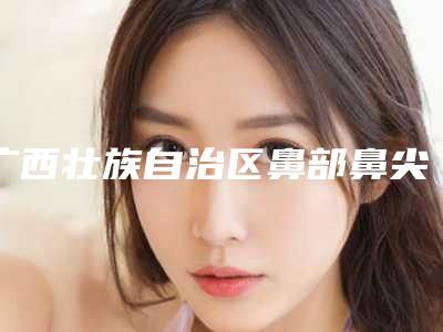 广西壮族自治区鼻部鼻尖整形内附全新价格表-广西壮族自治区鼻部鼻尖整形手术价格贵吗