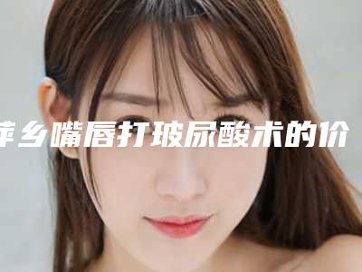 萍乡嘴唇打玻尿酸术的价格一般为多少