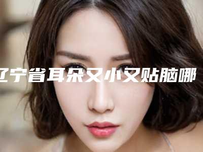 辽宁省耳朵又小又贴脑哪个医院好(大连杨承革医疗美容诊所技术不错)